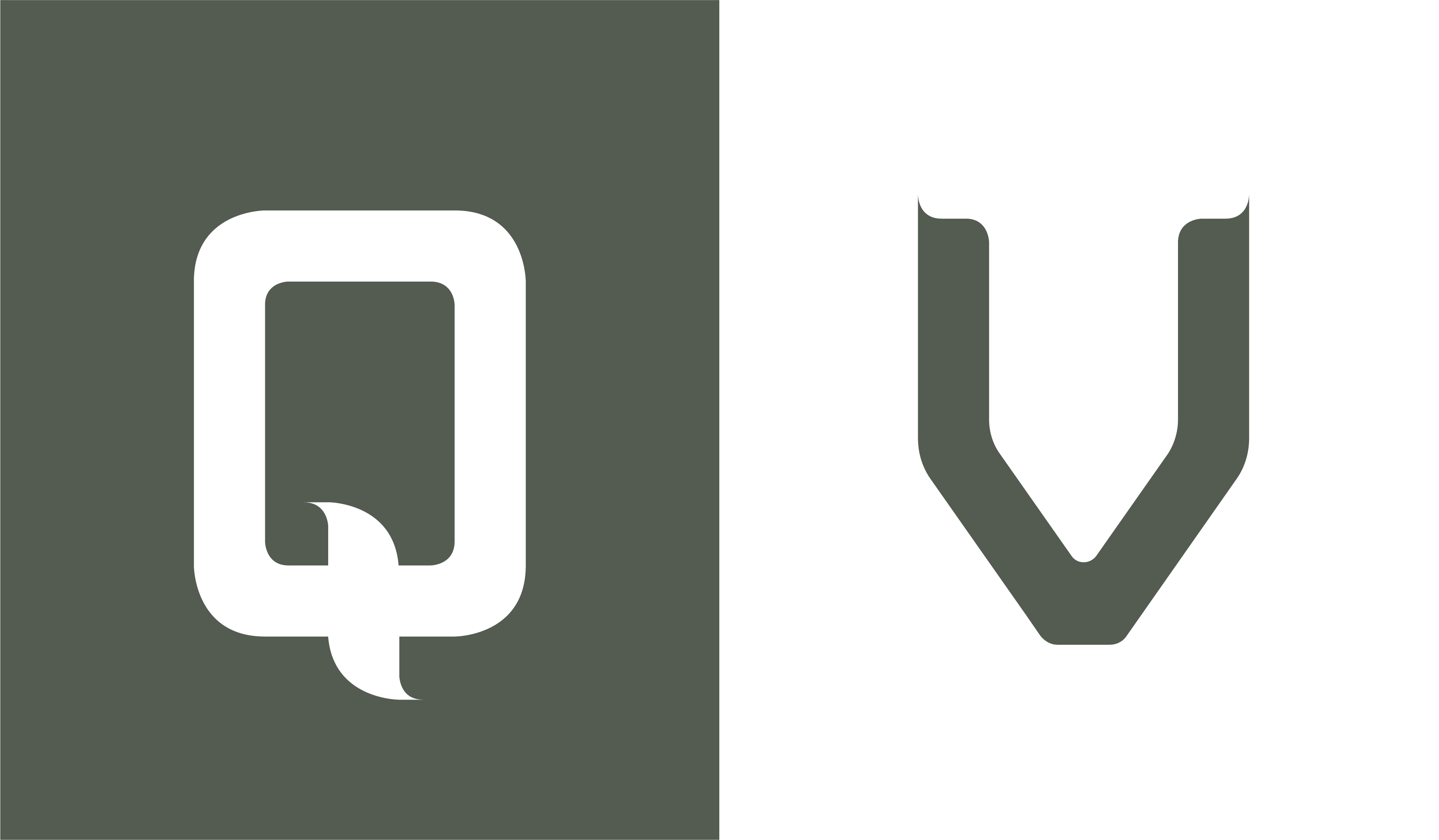 Q V